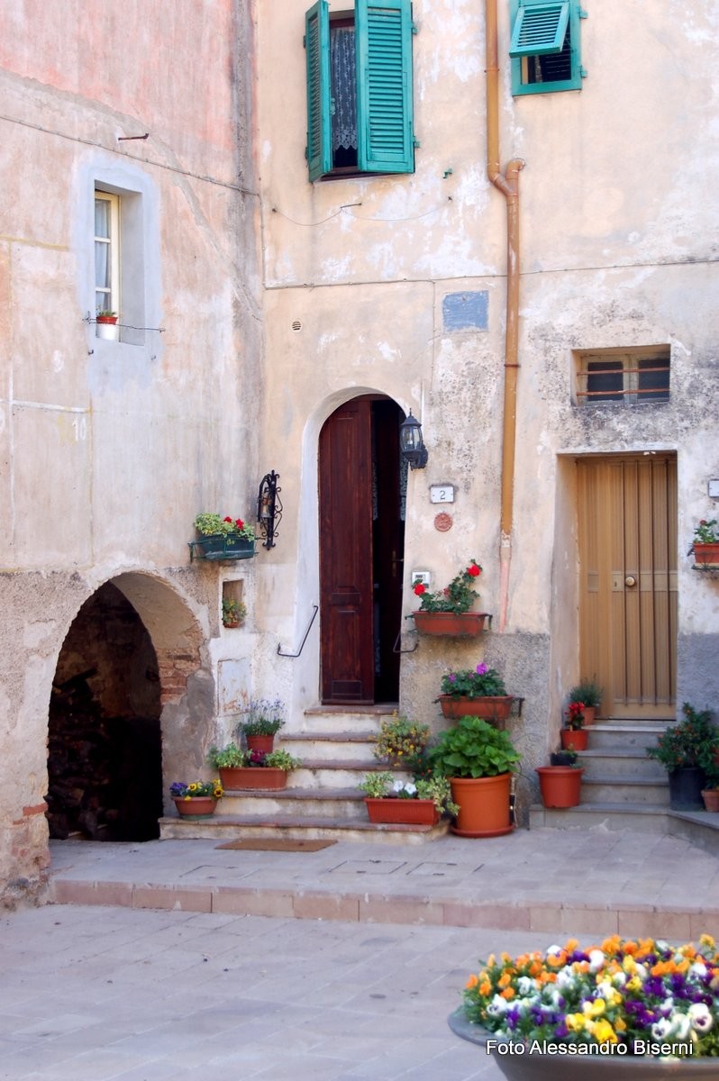 Immagini della Maremma Il di Montorsaio ☀️